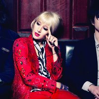 Yeah Yeah Yeahs - Wolf