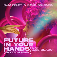 Sam Feldt & David Solomon feat. Aloe Blacc - Future In Your Hands (Skytech Remix)