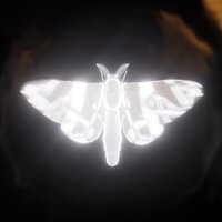 Carapacee feat. SHENA? - Мотыльки