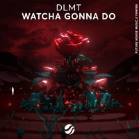 DLMT feat. Party Shirt - Goin' Down
