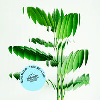 Mike Mago - Take Me Home