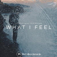 Luis Rodriguez feat. Tava & Margad - What I Feel