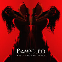 WRS feat. David Goldcher - Bamboleo