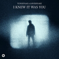 Tungevaag feat. Lovespeake - I Knew It Was You