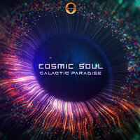 Cosmic Soul & Tom Novy - Fly 90 (Radio Edit)