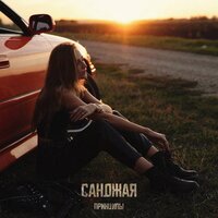 Санджая - Принципы