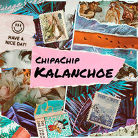 ChipaChip - Kalanchoe