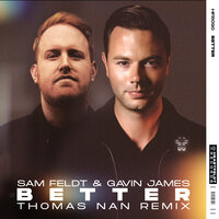Sam Feldt feat. Gavin James - Better (Thomas Nan Remix)