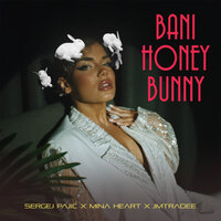 Sergej Pajic feat. Mina Heart & Jmtradee - Bani Honey Bunny