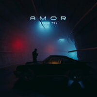 Amor - Chose You (Radio Edit)