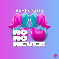 Tim Savey feat. Sal De Sol - No No Never