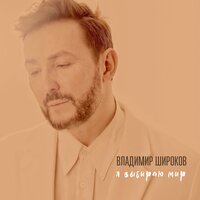 Владимир Широков - Я Выбираю Мир