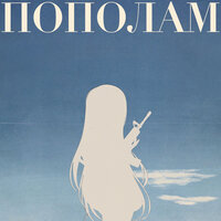 DiskArp - Пополам