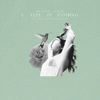 Braaten feat. Nexeri & Anna-Sophia Henry - I Feel It Coming