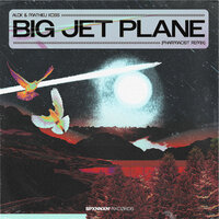 Alok feat. Mathieu Koss - Big Jet Plane (Pharmacist Remix)