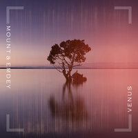 Emdey feat. Adn Lewis - She's Like The Wind (Through My Tree)