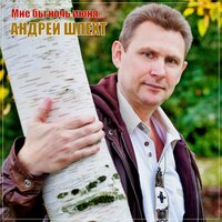 Андрей Шпехт - Мне Бы Ночь Июня