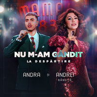Andra feat. Andrei Banuta - Nu M-Am Gandit La Despartire