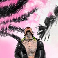 DANU - Собираюсь Домой