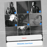 Pakalena feat. Саша Нгуен - Улетел