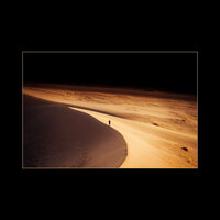 Рома Вольный - Дефиле