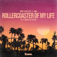 Nate VanDeusen & Iaco feat. Sam Heselwood - Rollercoaster Of My Life