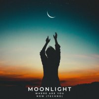 Moonlight - Where Are You Now