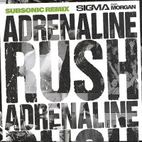 Sigma feat. Morgan - Adrenaline Rush (Acoustic)