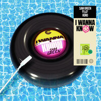 Sam Green feat. RoRo - I Wanna Know