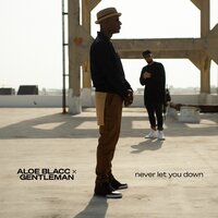 Aloe Blacc feat. Gentleman - Never Let You Down