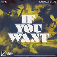 Tungevaag feat. SMACK - If You Want