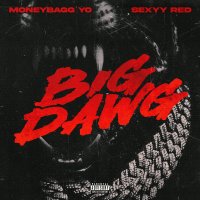 Moneybagg Yo feat. Sexyy Red & CMG The Label - Big Dawg