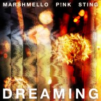 Marshmello & P!NK feat. Sting - Dreaming