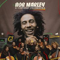 Bob Marley & The Wailers feat. Chineke! Orchestra - Satisfy My Soul