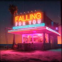 Disco Fries & Harber feat. Sydtherockerkid - Falling For You