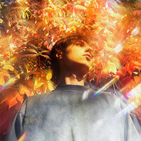 PLACKO - Листопад