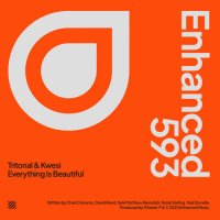 Tritonal feat. Kwesi - Everything Is Beautiful