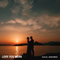 Eloi El feat. Sean Brizz - Love You More