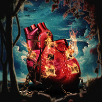 Winona Oak - Fire Escapes