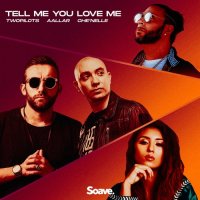 TWOPILOTS & Aallar feat. Che'Nelle - Tell Me You Love Me
