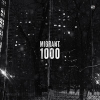 Migrant - 1000