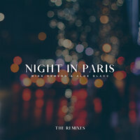 Mike Demero feat. Aloe Blacc - Night In Paris (Marvick Euro Remix)