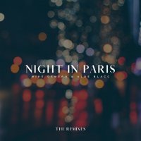Mike Demero feat. Aloe Blacc - Night In Paris (The Second Level Remix)
