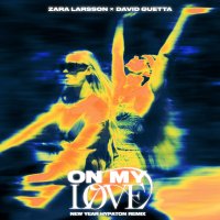 Zara Larsson feat. David Guetta - On My Love (New Year Hypaton Remix)