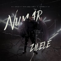 Dj Sava feat. Adriana Onci & Connect-R - Numar Zilele