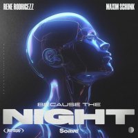 Rene Rodrigezz feat. Maxim Schunk - Because The Night